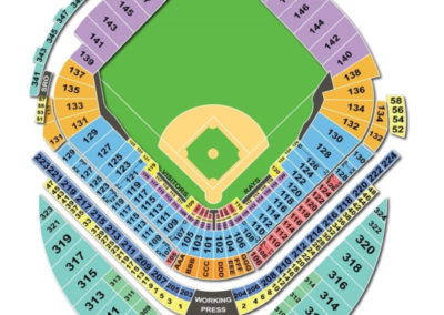 Tropicana Field Baseball Seating Chart