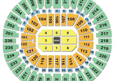 Thomas and Mack Center Seating Chart Boxing