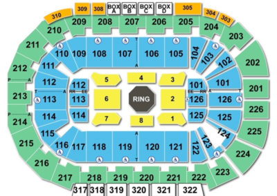 Mandalay Bay Events Center Seating Chart UFC